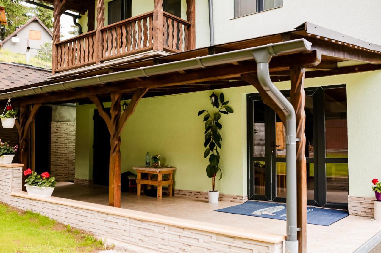 Casa Tudor Topliţa Extérieur photo