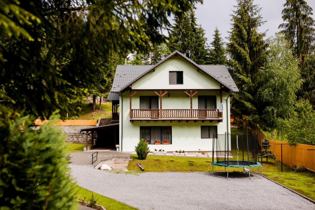Casa Tudor Topliţa Extérieur photo